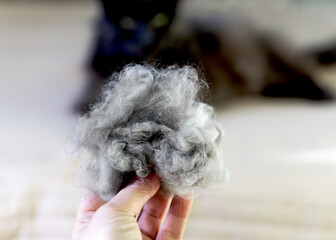 A ball of gray wool against the background of a lying Maine Coon cat. Concept for National Hairball Awareness Day. Grooming a longhaired cat prevents bezoars.
