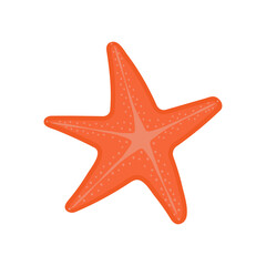Fototapeta na wymiar Starfish for summer design elements isolated on white background. Sea icon in cartoon style. Vector illustration