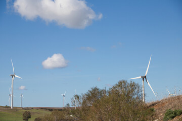 Wind turbine generators in the green landscape and blue sky with white clouds. Wind energy and...