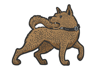 dog bites its tail color sketch engraving vector illustration. T-shirt apparel print design. Scratch board imitation. Black and white hand drawn image.