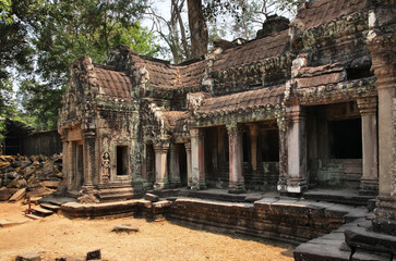  Ta Prohm temple at Angkor. Siem Reap province. Cambodia