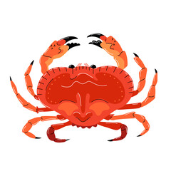 Seafood illustration in cartoon style. Red crab on a white background