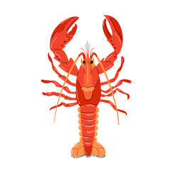 Seafood illustration in cartoon style. Red lobster on a white background