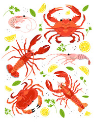 Seafood set in cartoon style. Vector illustration of lobster, crab, shrimp.