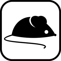 Rodent. Cute baby mouse vector illustration 