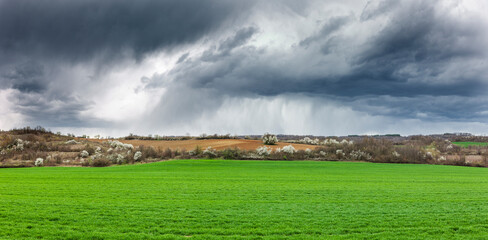 Regenwolken über einem grünen Feld