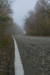 Fototapeta premium Bottom view of a country road looping through the fog in an autumn forest. Asphalt road with white markings and forest on a foggy morning. Mysterious landscape.