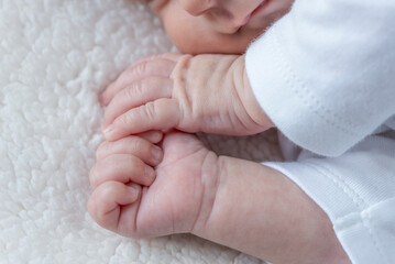 Lovely infant hands newborn
