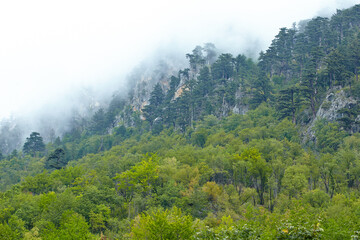 Summer vacation in the national park