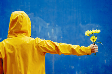 Rear view of woman wearing a yellow raincoat holding a flower. Horizontal mid waist view of unrecognizable person under the rain holding a yellow bouquet of flowers isolated on blue background.