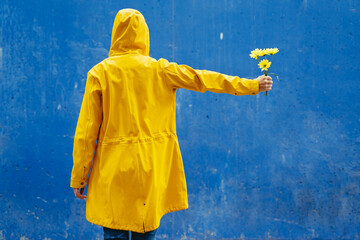 Rear view of woman wearing a yellow raincoat holding a flower. Horizontal mid waist view of unrecognizable person under the rain holding a yellow bouquet of flowers isolated on blue background.