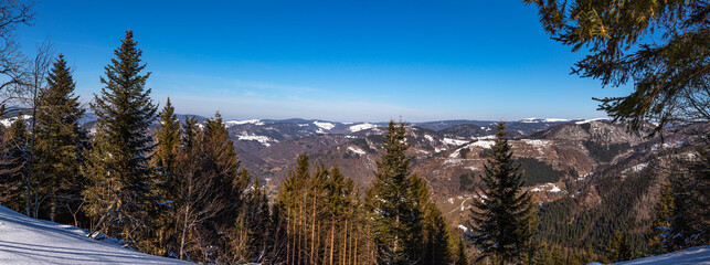 Panoramablick über den Südschwarzwald