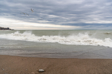 Waves rolling onto the shore of Lake Ontario in spring, with sea gulls in the air.  Shot in Toronto's iconic Beaches neighbourhood. Room for text	
