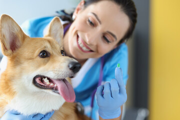 Veterinarian with dog is holding medical tablet closeup