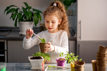 A cute girl plants at home in eco pots. She is wearing a white sweater. The garden of the house. Hobby.