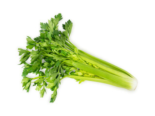 Fresh leaf celery isolated over a white background