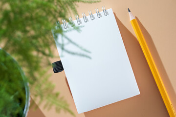 top view of blank note pad with houseplant  against orange background