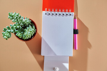 succulent potted plant wtith note pad against orange color background