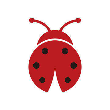 Ladybug vector icon illustration sign	