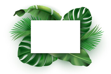 Blank banner on green tropical leaves, exotic design for greeting card, party flyer