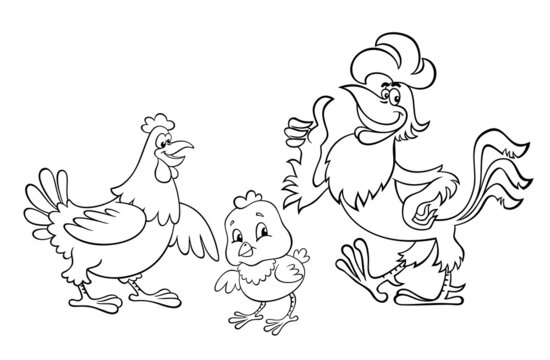 Rooster dad with hen mom and chick son. Cartoon image of a chicken family. Contour vector image of a hen, rooster and chicken.