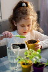 A cute girl plants at home in eco pots. She is wearing a white sweater. The garden of the house. Hobby.