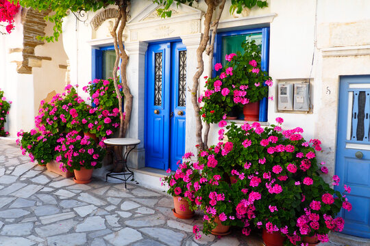 One of the charms of Pyrgos, a famous village of marble craftsmen in Tinos, in the Cyclades, in the heart of the Aegean Sea, are the narrow cobbled streets with white houses and flowers