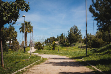Urban park with dirt road, pine and palm trees. Copy space. Selective focus.