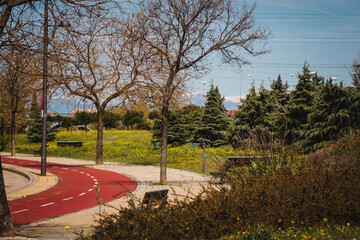 Urban park with bike lane. Copy space. Selective focus. Sports in the city.