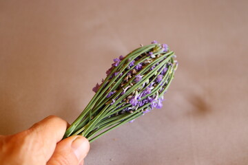 Lavandula stoechas, homemade fragrant lavender mallets, purple formation, lavender stick