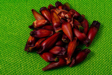 pine nuts on a light green background