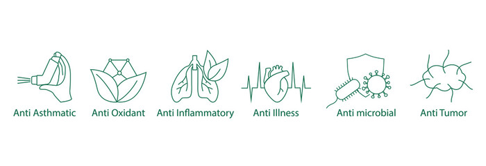 anti-asthmatic, antioxidant, anti-inflammatory, anti illness, anti-microbial, anti-tumor - obrazy, fototapety, plakaty