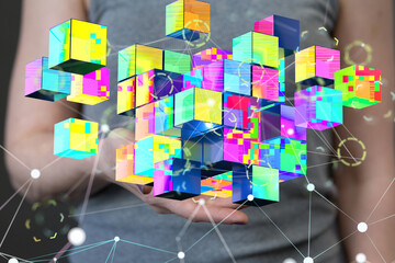 Telecommunication network and wireless mobile internet