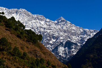 Snow peaks 