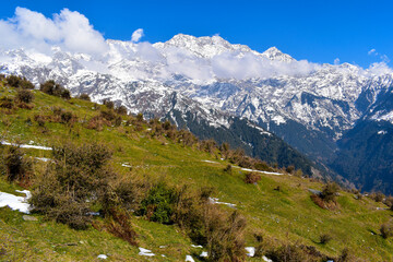 alpine meadow in the mountains