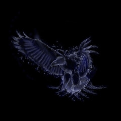 Fantasy eagle illustration on black background. Magic eagle water drops style. Eagle isolated