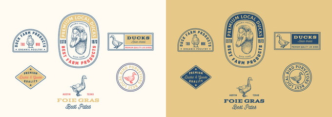 Duck Poultry Farm Retro Framed Badges and Logo Templates Collection. Hand Drawn Goose Face and Birds Illustrations with Retro Typography. Vintage Engraving Style Emblems Set Isolated © createvil