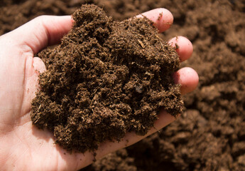 Lithuanian peat on hand. Agriculture concept. Closeup. Point of view shot.