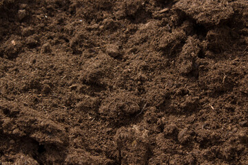 Peat moss background. Acid soil. Lithuanian peat