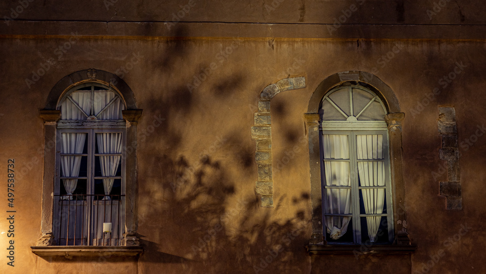 Poster Photo of windows of an old building with old grids