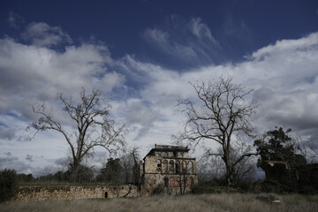 Abandon old house in the field with dead trees- Halloween concept
