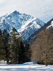 Fototapeta premium Österreichische Berglandschaft. Pertisau am Achensee im Tirol. Verschneiter Gipfel des Dristenkopfs