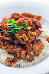 chicken kung pao with peanuts and rice