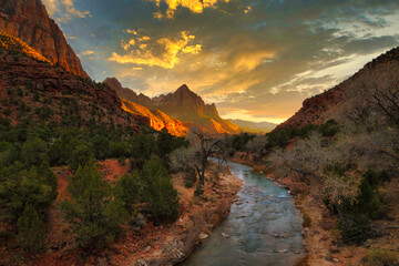 Beautiful nature of the Zion National Park