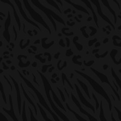 Leopard print zebra black background, vector seamless illustration for print.