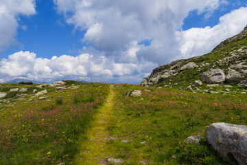 Panorama Alpino - Dolomiti - Trentino - Trekking