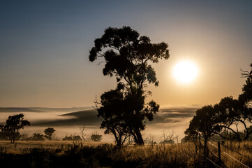 Scenery of the sunrise over a farm with fog on the mountains in Cooma, NSW, Australia