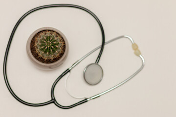 Stethoscope lies on white isolated background with cactus in the middle. Medical concept of hemorrhoids, anal pains