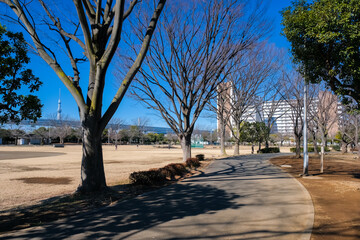 東京都葛飾区 新小岩公園