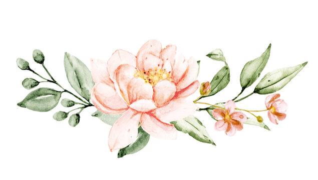 Pink flower watercolor, floral clip art. Border blush peony perfectly for printing design on invitations, cards, wall art and other. Isolated on white background. Hand painting.